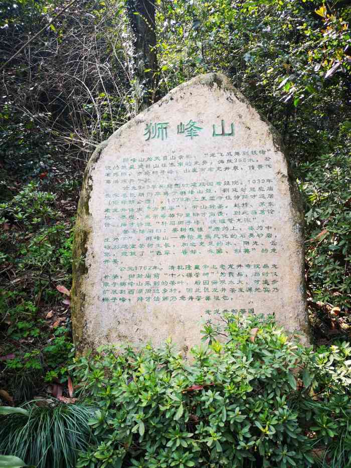 狮峰山-"狮峰山茶园是杭州龙井茶叶主要产地,狮峰山.