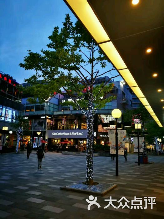 大宁国际商业广场图片 第878张