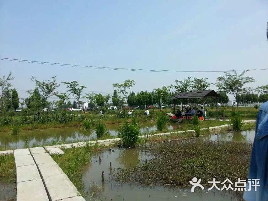 小龙虾垂钓图片 第2张