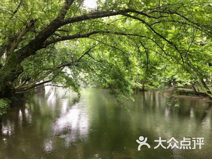 西溪南古村落景区-图片-黄山周边游-大众点评网