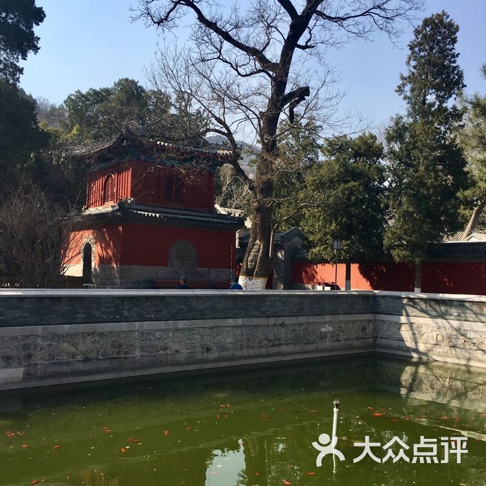 敕建大觉禅寺图片-北京名胜古迹-大众点评网