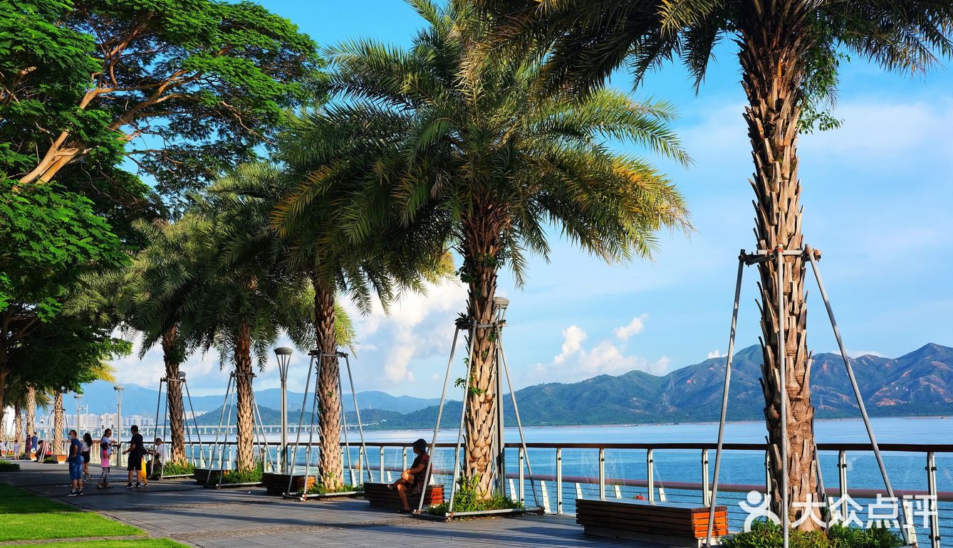 深圳美景|藏在半岛里的浪漫海景灯塔