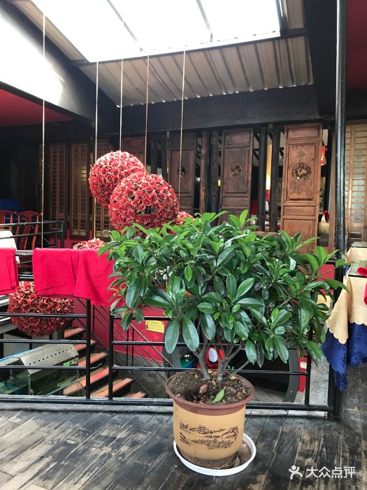 水上人家主题餐厅(洱河南路店-环境图片-大理市美食-大众点评网