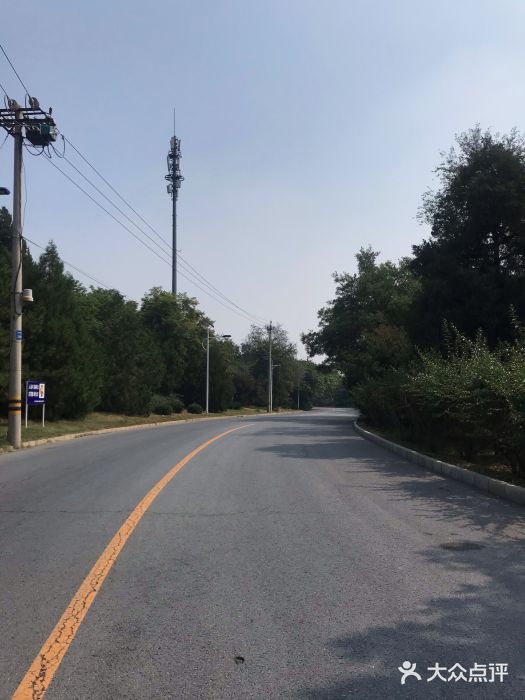老山城市休闲公园图片