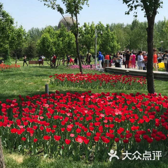 朝阳公园