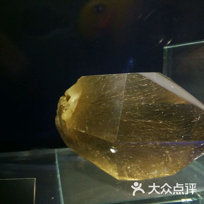 中国东海水晶博物馆图片-北京博物馆-大众点评网