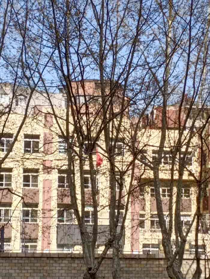 葵英小学"葵英小学是中山区的一所普通小学,位于葵英.