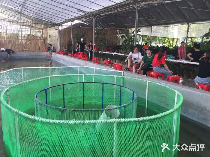 南浦烧烤场钓虾钓蟹草莓生态农庄图片