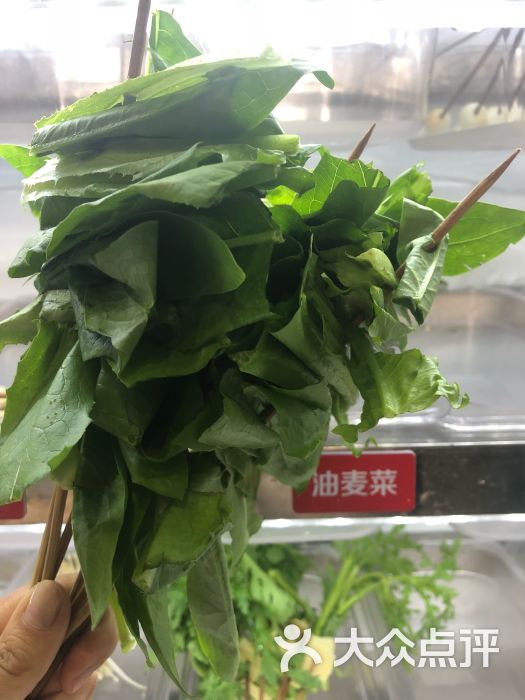 钢管厂小郡肝串串香(大港店)油麦菜图片 第42张