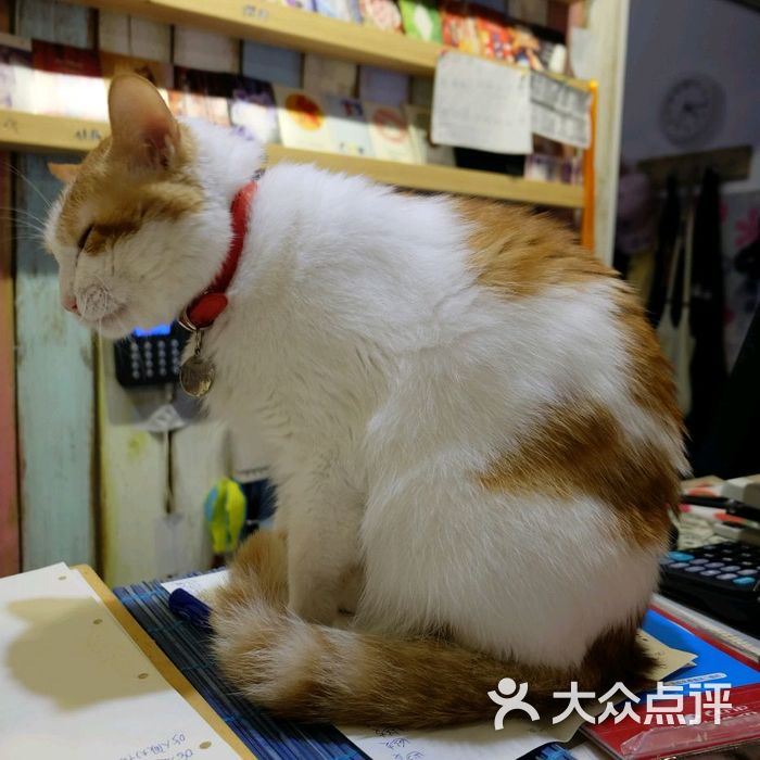 小时光猫语时光咖啡书吧