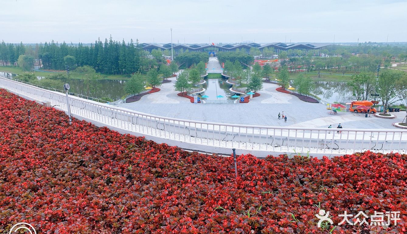 崇明花博会