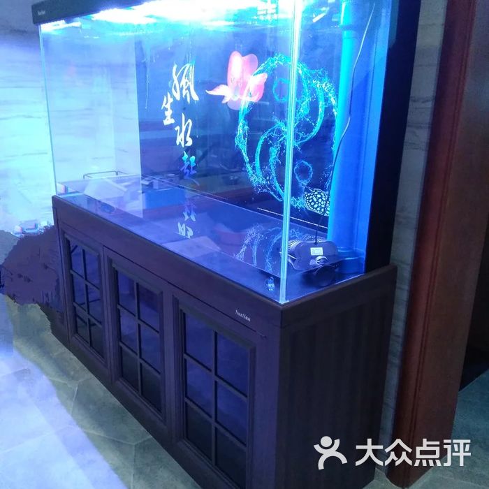 水族艺馆图片-北京宠物店-大众点评网