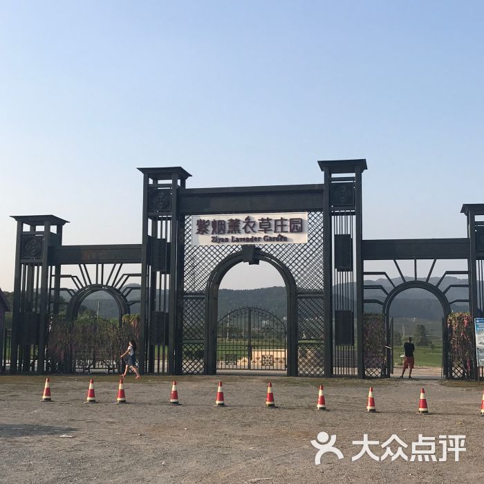 紫烟薰衣草庄园门面图片 - 第1张