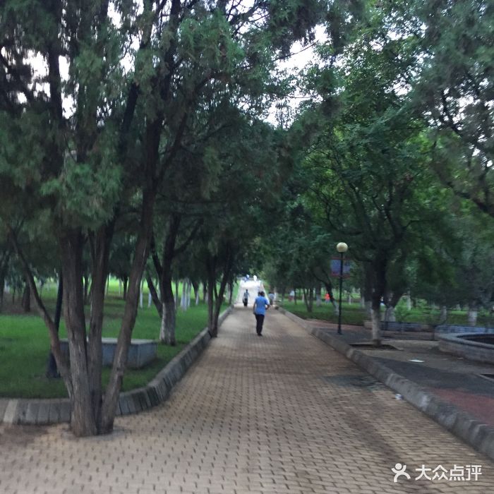 金家街公园图片 - 第18张