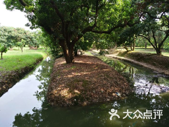 上涌果树公园图片 - 第38张