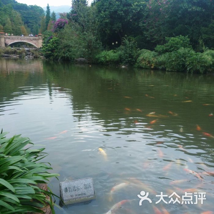 云溪生态公园