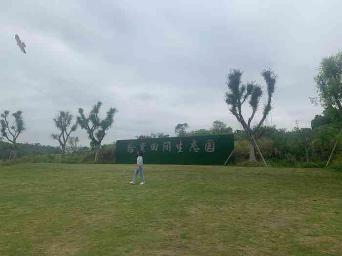拾里田间-"今天公司组织团建活动到达璧山的拾里田间