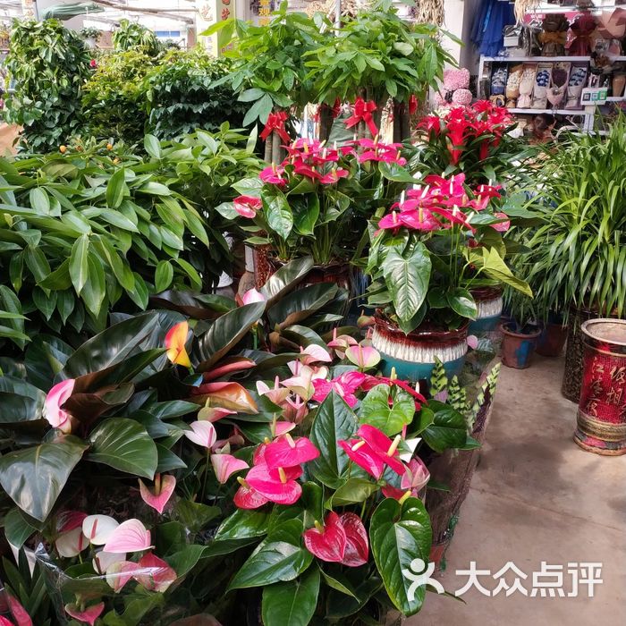 大明宫花卉市场