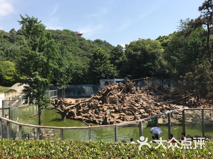 红山森林动物园-图片-南京周边游-大众点评网