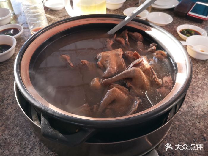 鸽子火锅 大众点评