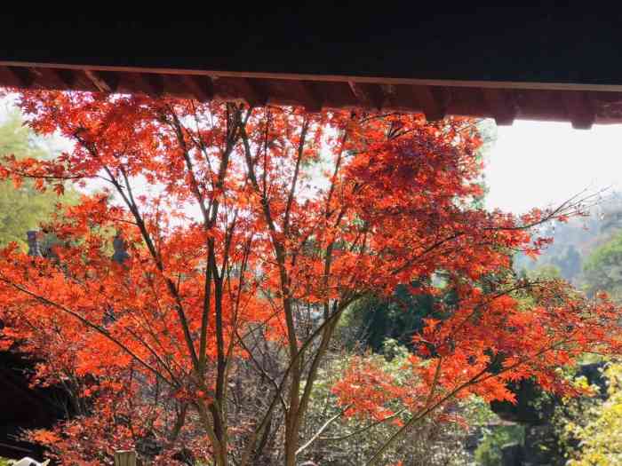 梅岭太阳谷-"南昌梅岭太阳谷景区覆盖10几个景点,游玩