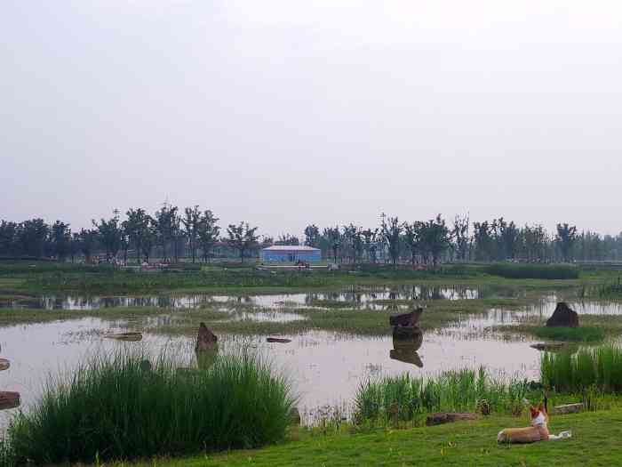 泉水湖湿地公园-"邛崃泉水湖湿地公园,地处成都的邛崃