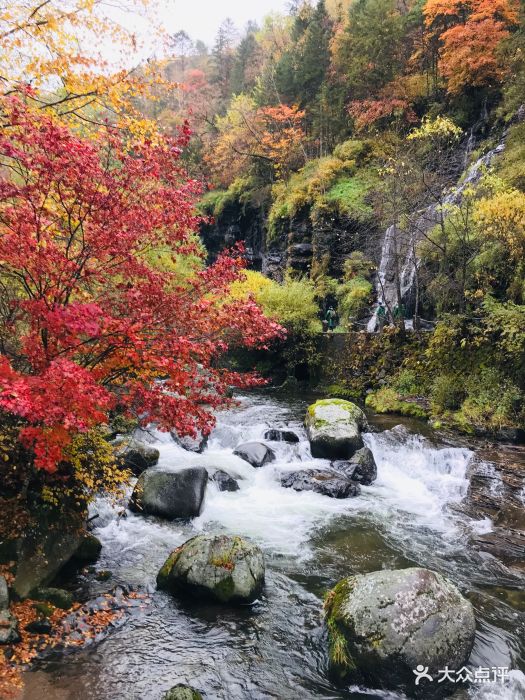 长白朝鲜族自治县