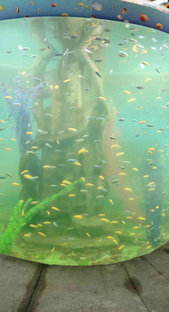 三峡海洋世界"海洋动物和生物还是比较多,有3层楼 2.