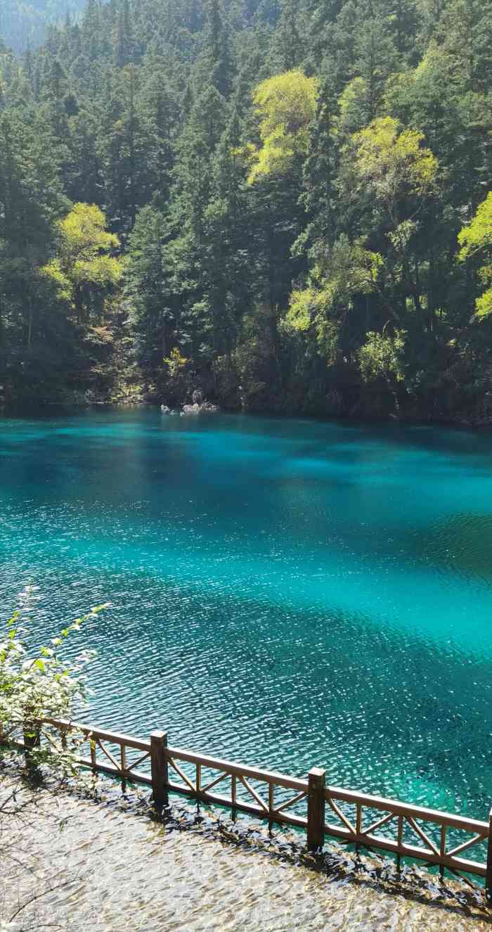 九寨沟爱情海景区-"去甘海子拍风景照吧「甘海子」 离