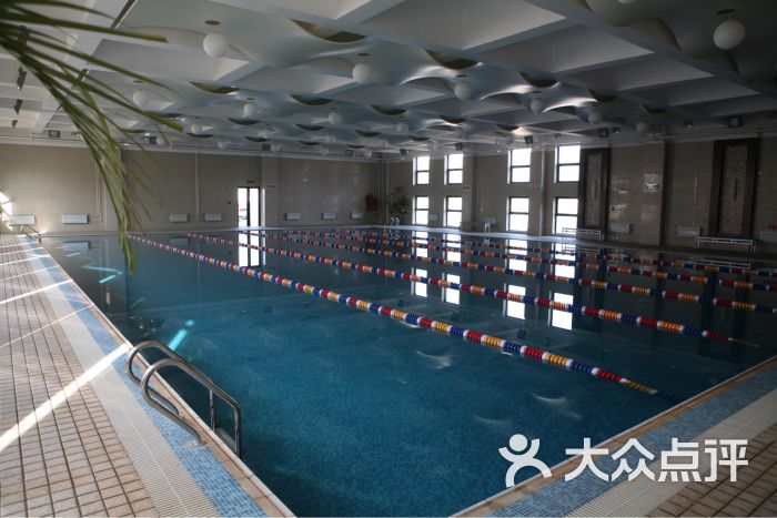 亚飞游泳培训(北京体育大学游泳馆)-图片-北京