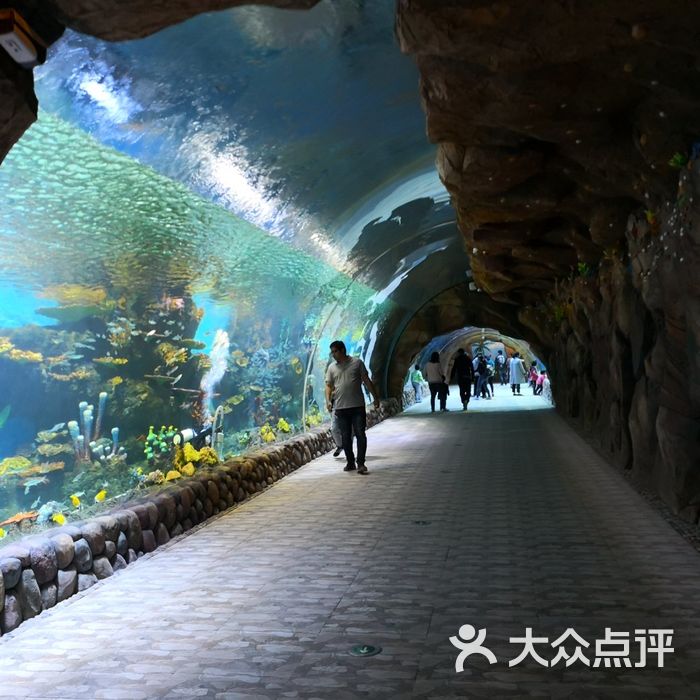 华夏文旅海洋公园