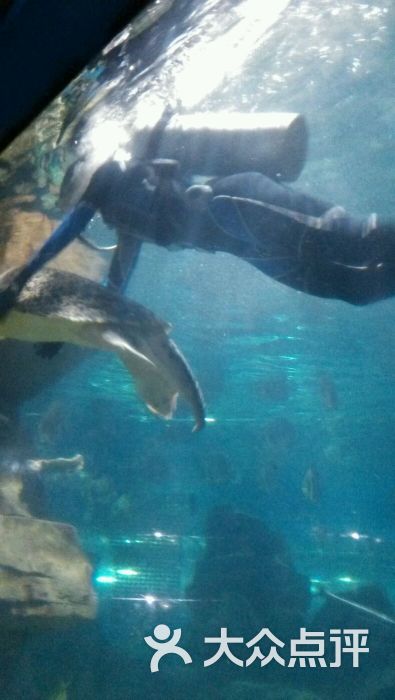 蠡湖中央公园海底世界