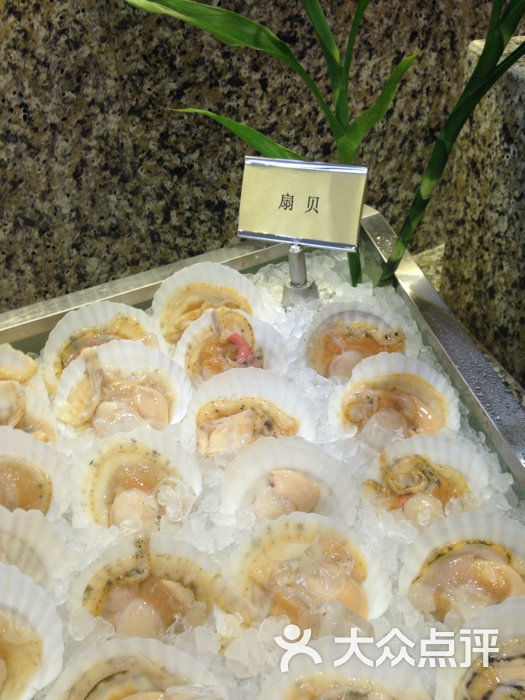 海鲜自助火锅广告_海鲜肥牛自助火锅_海鲜自助火锅(2)