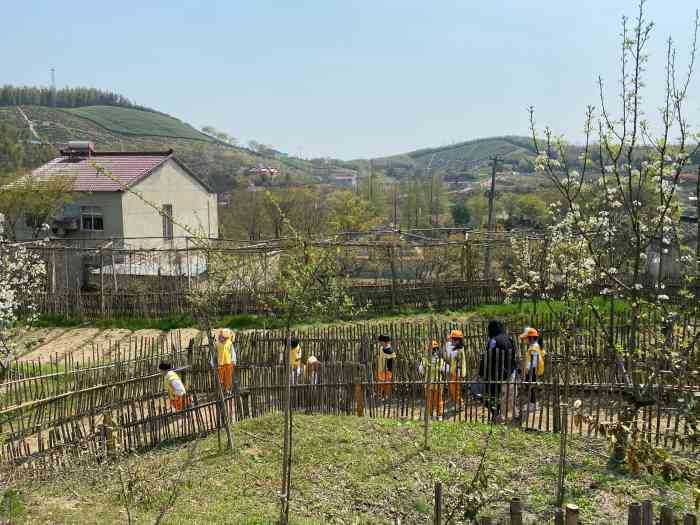 深山沟家庭农场,真的是在山里面,第一次感受没有网络