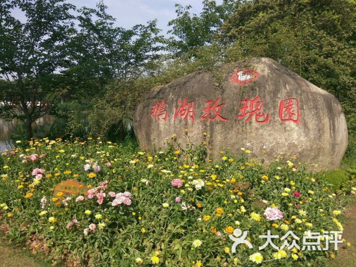 鹅湖玫瑰文化园图片 - 第38张