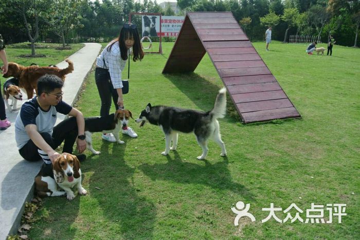 闵行区 虹梅路 宠物店 上海榛果犬业 所有点评 16-05-16 上海榛果犬业