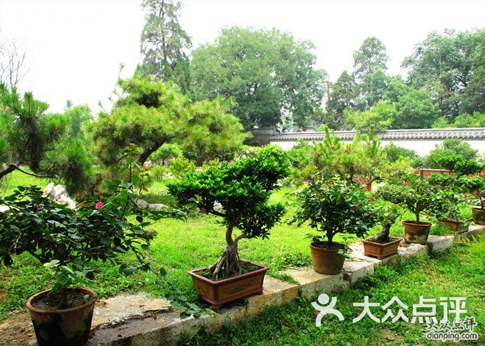 c8孔府后花园