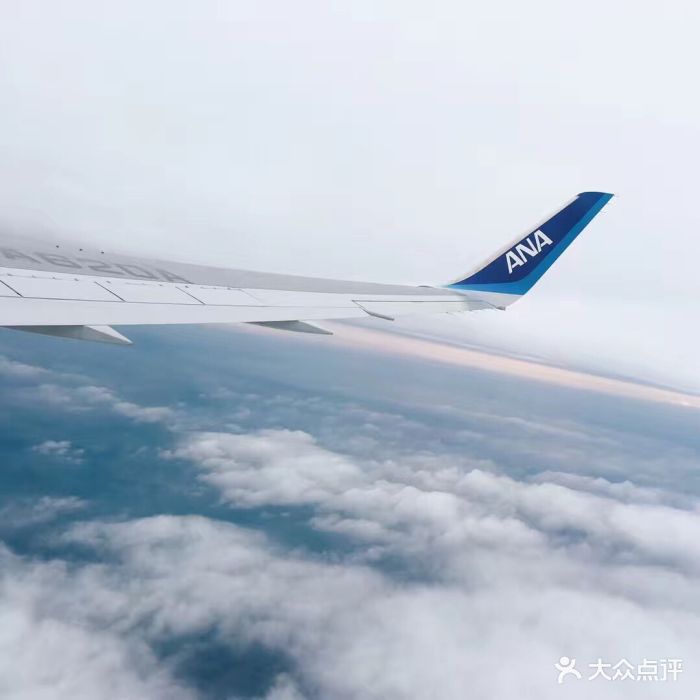 全日空航空图片