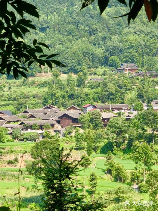 来凤杨梅古寨景区图片 - 第8张