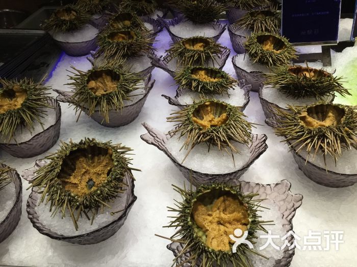 海鼎荟海鲜姿造图片 第131张