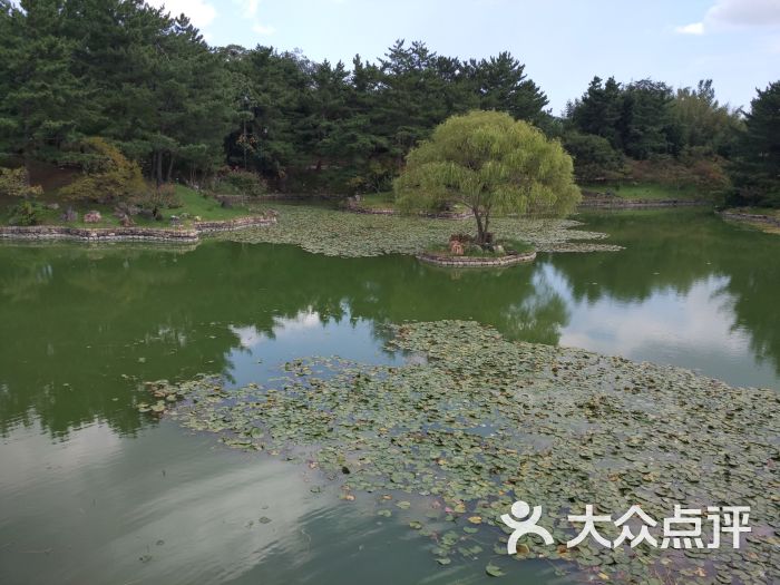 雁鸭池-雁鸭池图片-庆州景点玩乐-大众点评网