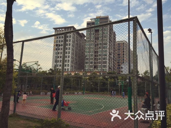 百旺公园-图片-深圳周边游-大众点评网