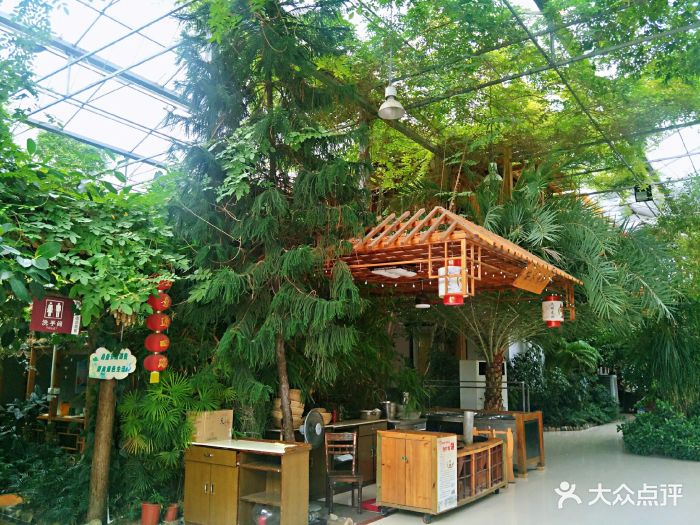 太明渔村(太明生态园大酒店)图片 - 第10张