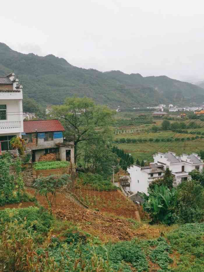 龙头旅游村-"安康平利的龙头村,是一个世外桃源,因为.