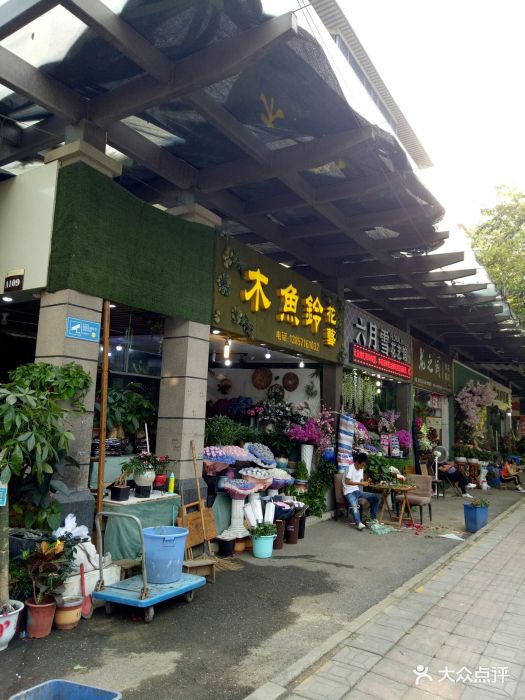 城西花鸟工艺品市场-图片-杭州购物-大众点评网