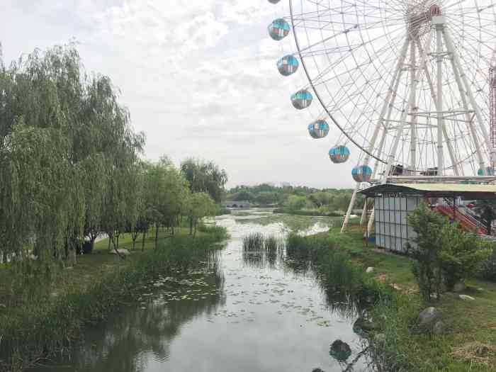 香湖湾公园-"从阎良回来的路上,走到湘湖湾下车以后,到.