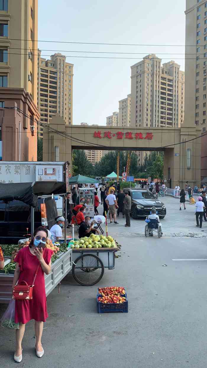 雪莲雅居-"公租房……就是离市区太远了……也不知道算.