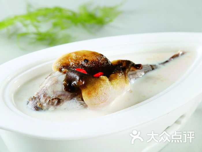 白汁河豚