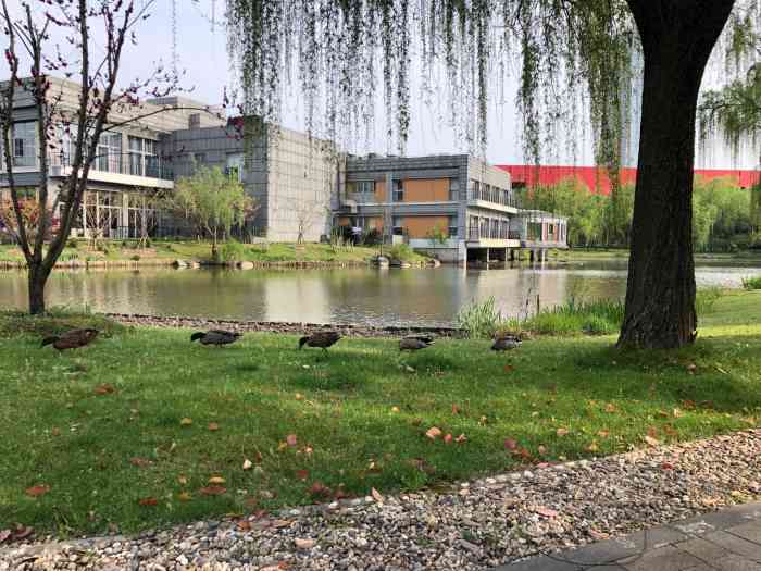 中国浦东干部学院