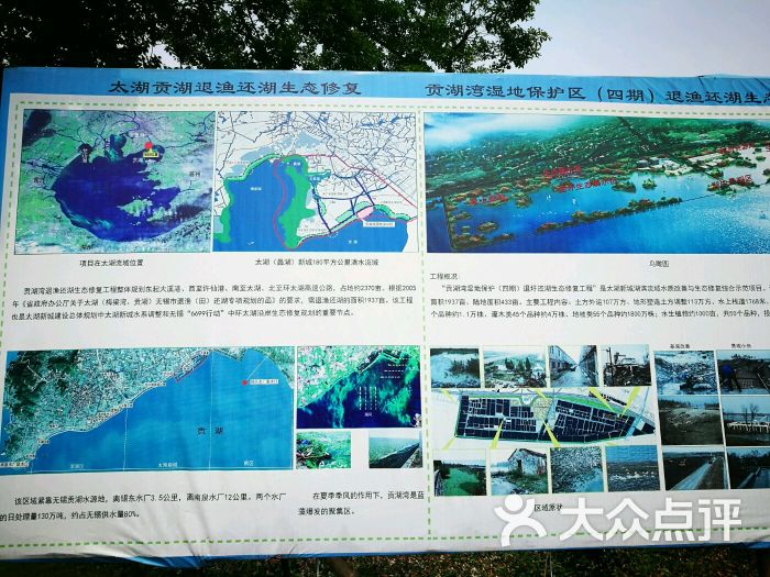 贡湖湾湿地公园图片 - 第8张